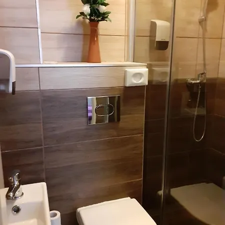 Guest house Penzion Vulture Ostrava *
