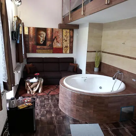 Guest house Penzion Vulture Ostrava