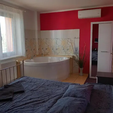 Penzion Vulture Ostrava Guest house