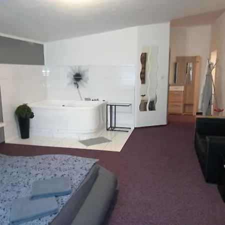 Guest house Penzion Vulture Ostrava *