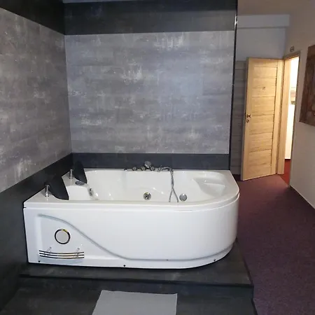 Penzion Vulture Ostrava Guest house Ostrava