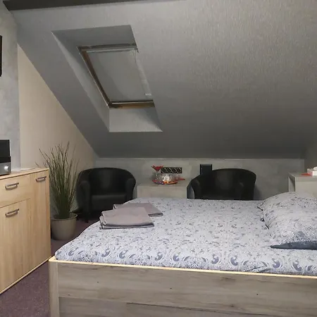 Guest house Penzion Vulture Ostrava *